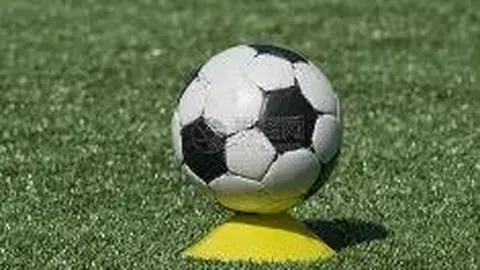 2023-2027年度国产动画电影清单揭晓