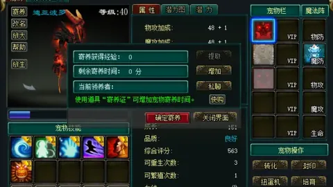 【西部争霸战！六强激战正酣，28天逆袭记，战绩狂飙+11，揭秘挑战背后数据风云】